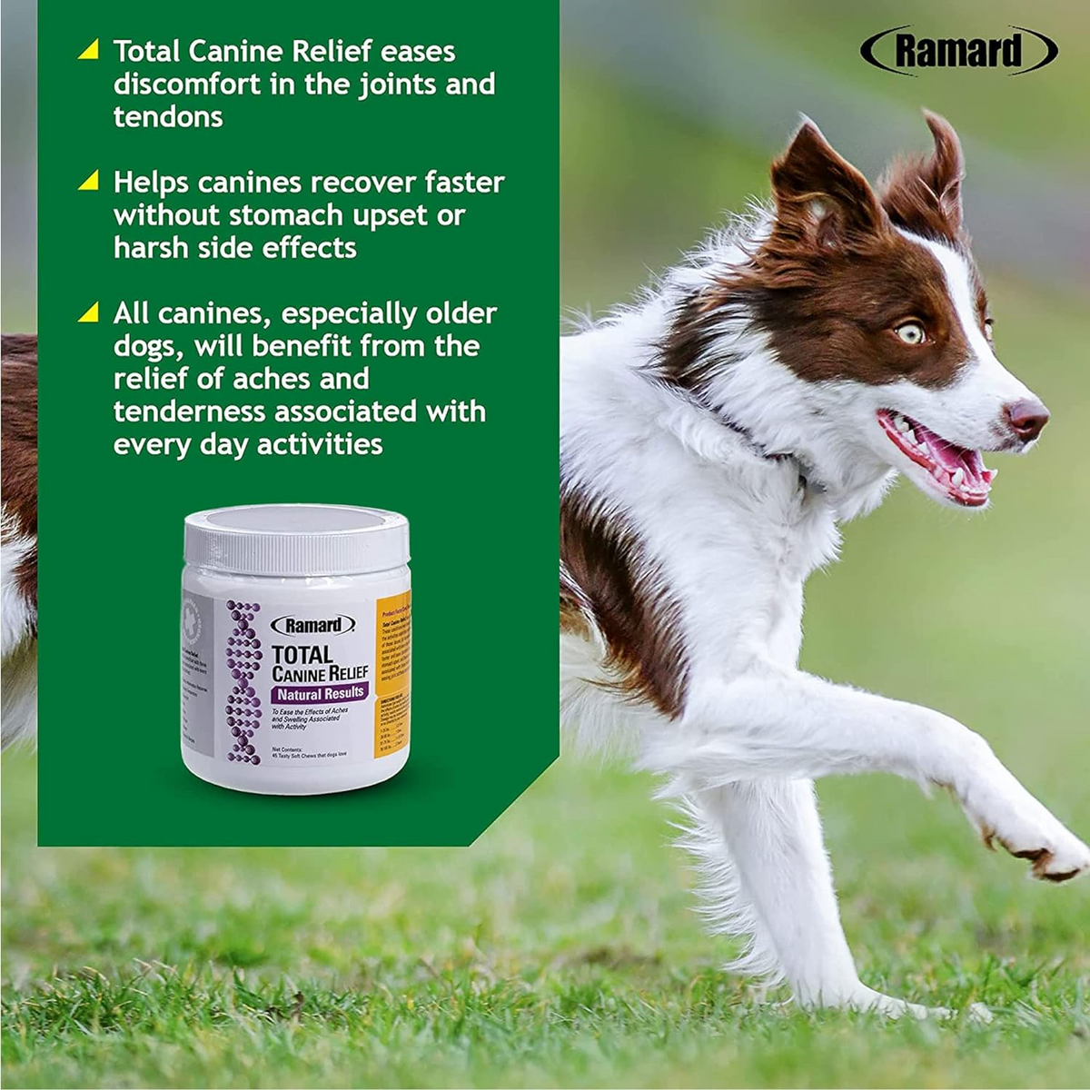 Ramard Total Relief for Dogs Supplement (45 Soft Chews)
