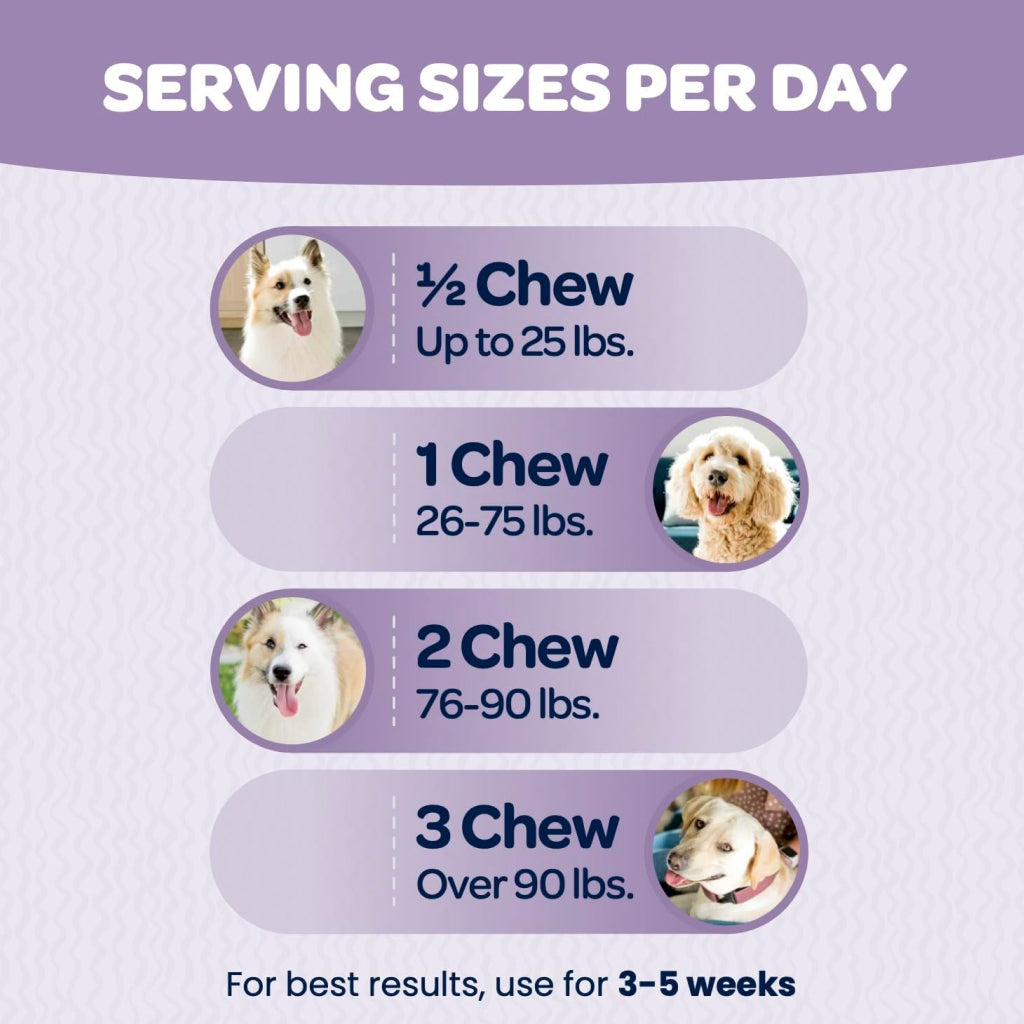Ready Pet Go Calming & Relaxing Support for Dogs (90 soft chews)