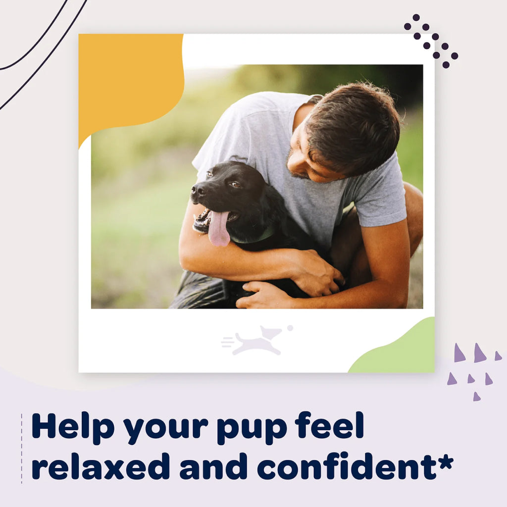 Ready Pet Go Calming & Relaxing Support for Dogs (90 soft chews)