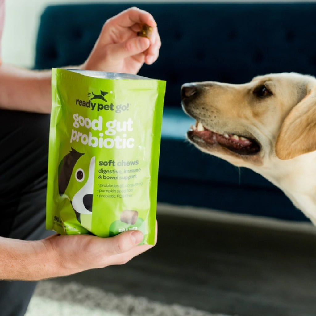 Ready Pet Go Good Gut Probiotic Support for Dogs (60 soft chews)