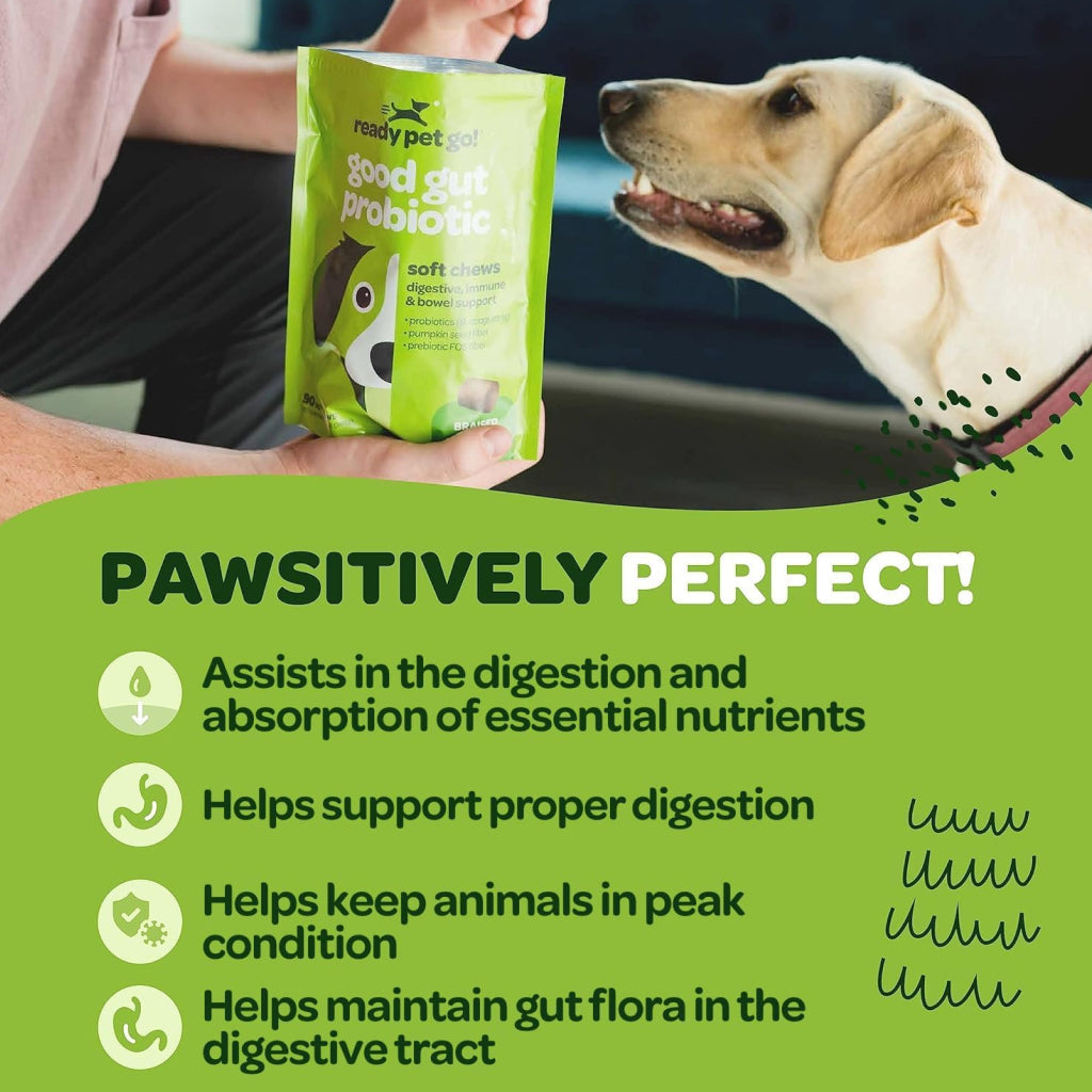 Ready Pet Go Good Gut Probiotic Support for Dogs (60 soft chews)