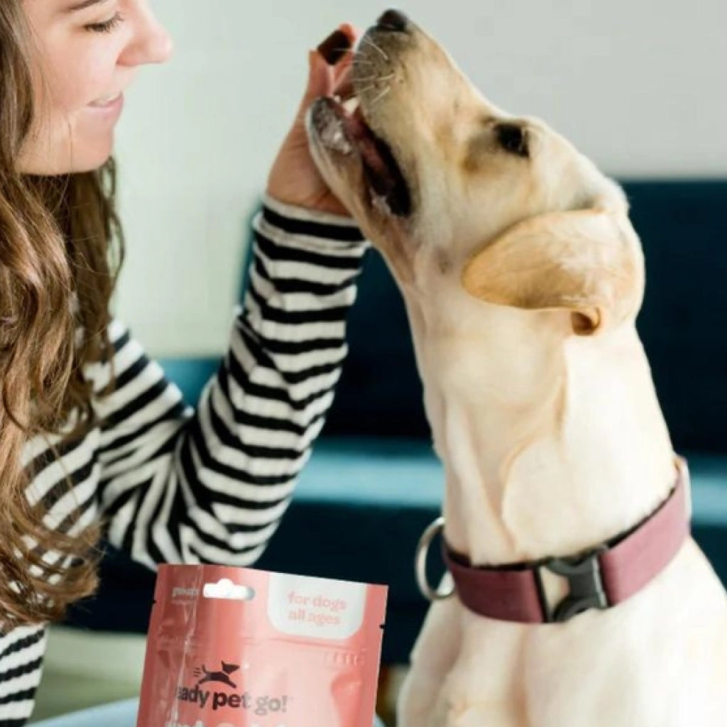 Ready Pet Go Hip & Joint Mobility Support for Dogs (90 soft chews)