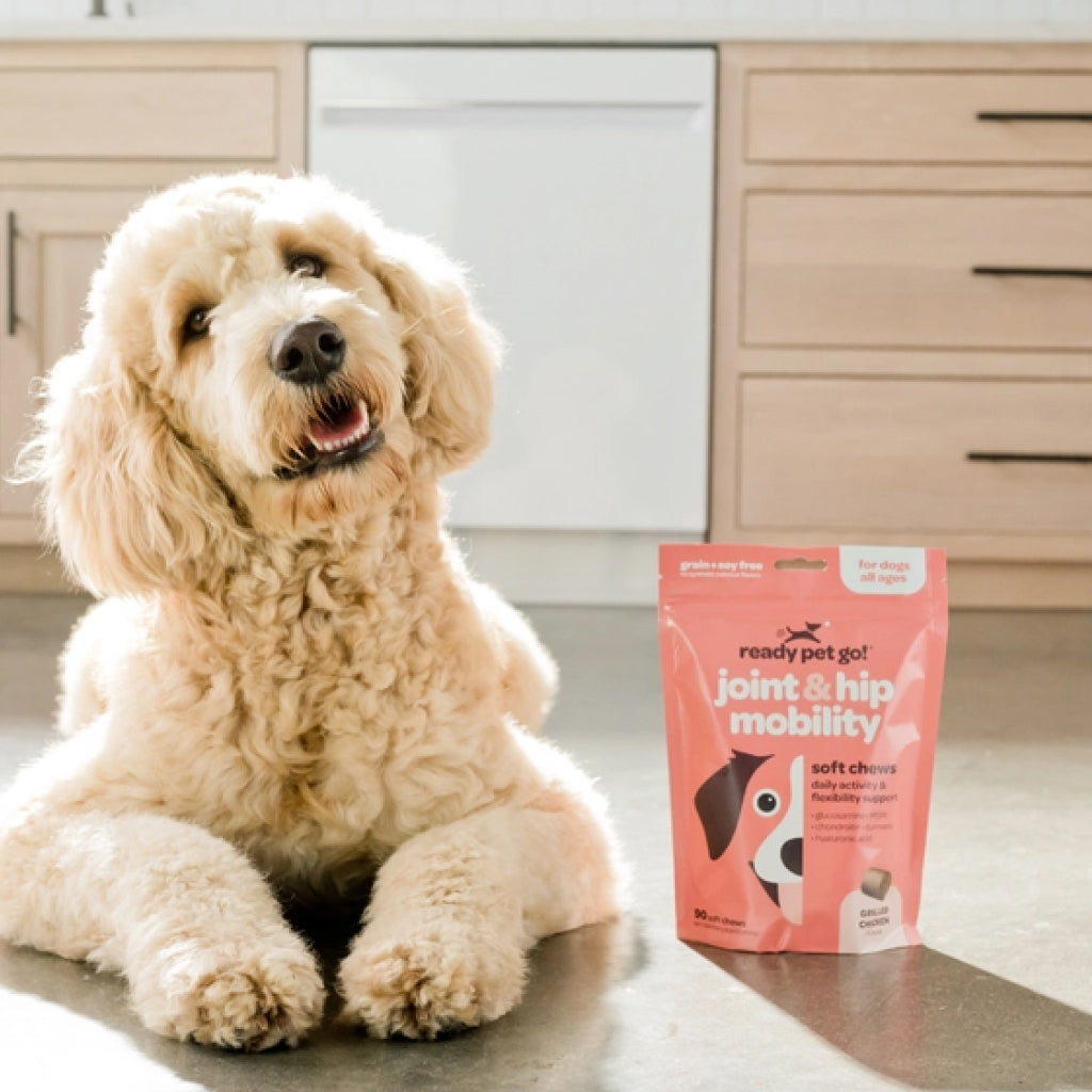 Ready Pet Go Hip & Joint Mobility Support for Dogs (90 soft chews)