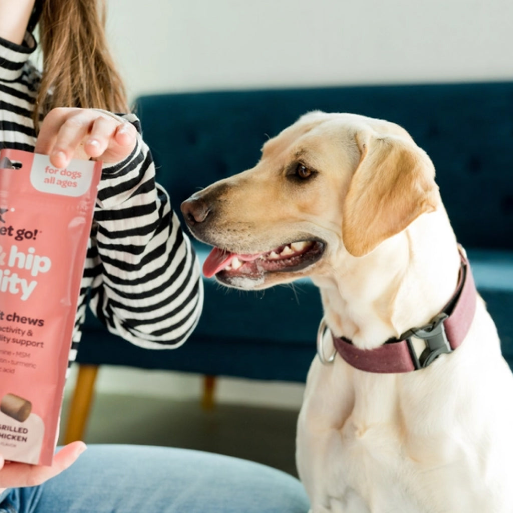 Ready Pet Go Hip & Joint Mobility Support for Dogs (90 soft chews)