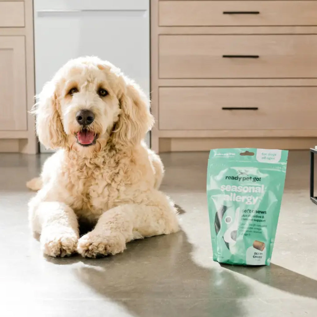 Ready Pet Go Seasonal Allergy Support for Dogs (60 soft chews)