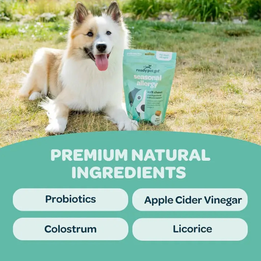 Ready Pet Go Seasonal Allergy Support for Dogs (60 soft chews)