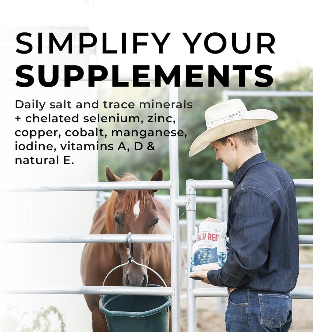 Redmond Daily Red Fortified Loose Mineral Salt for Horses (5 lb)