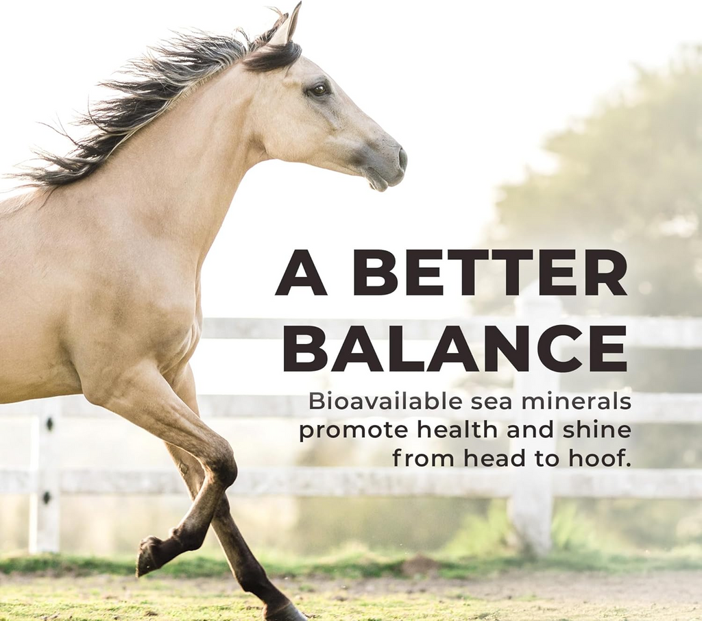 Redmond Daily Red Fortified Loose Mineral Salt for Horses (5 lb)