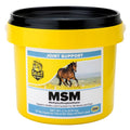 Select the Best MSM Joint Support for Horses