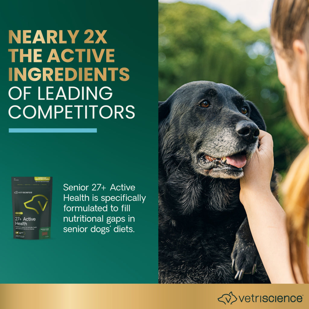 Senior 27+ Active Health Chews for Dogs