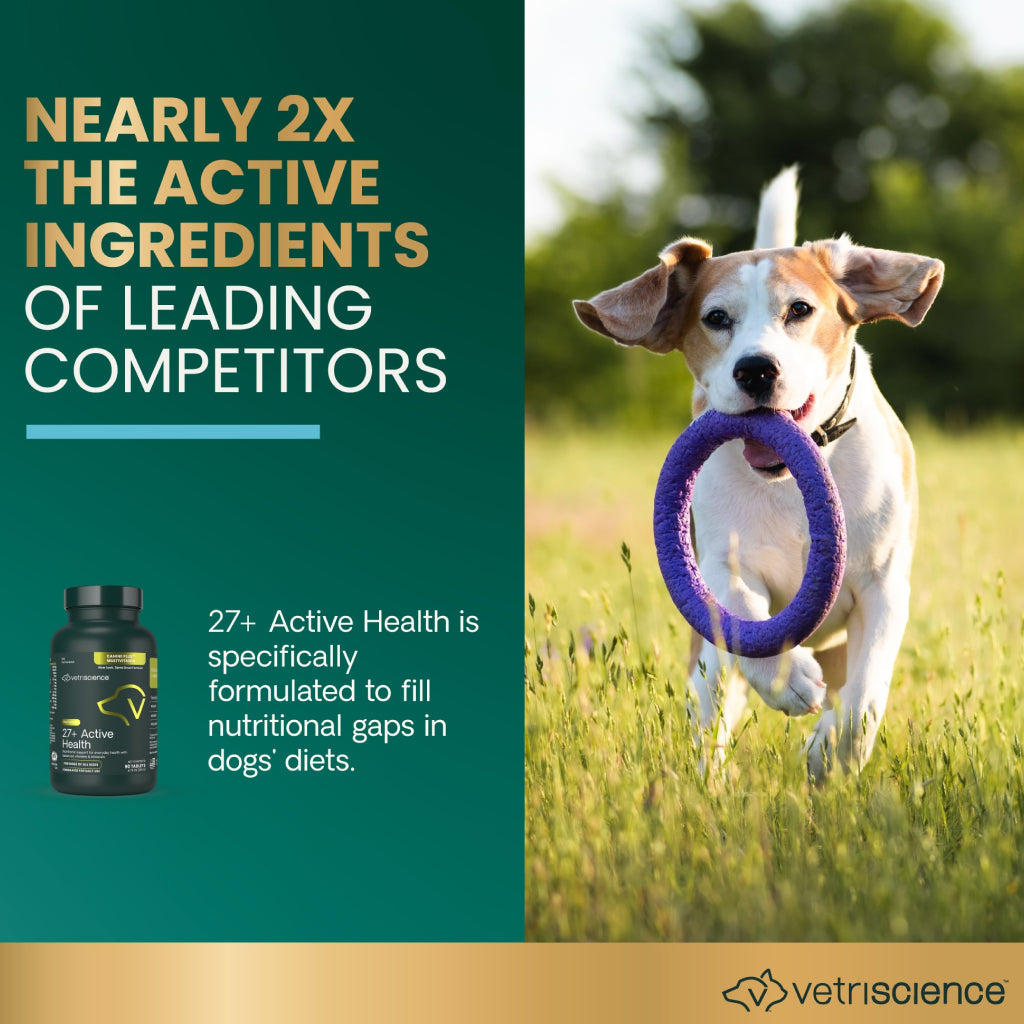 Senior 27+ Active Health Tablets for Dogs