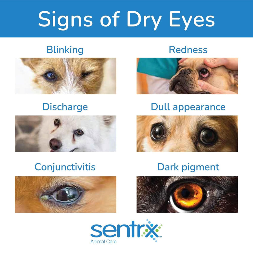 Sentrx Eye Lube Pro for Pets, 20-gm