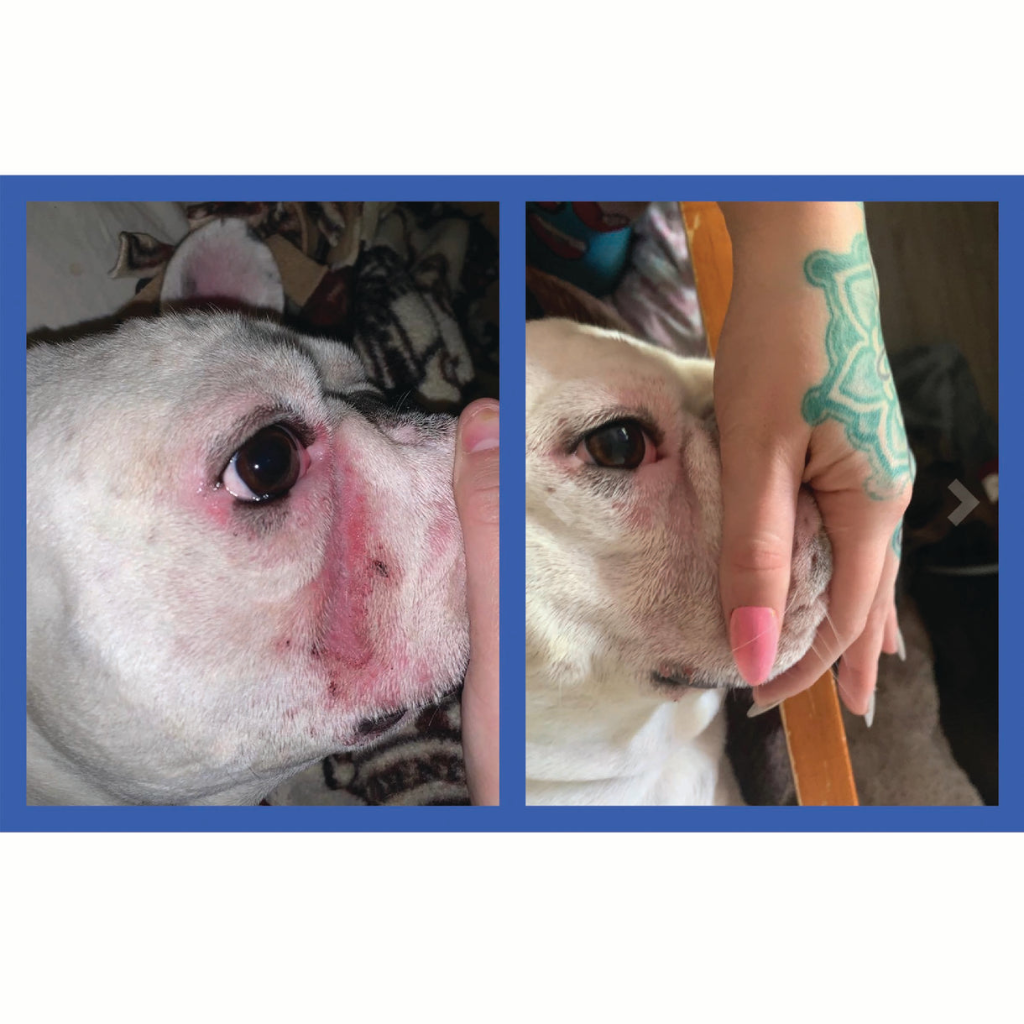 Squishface Applicator