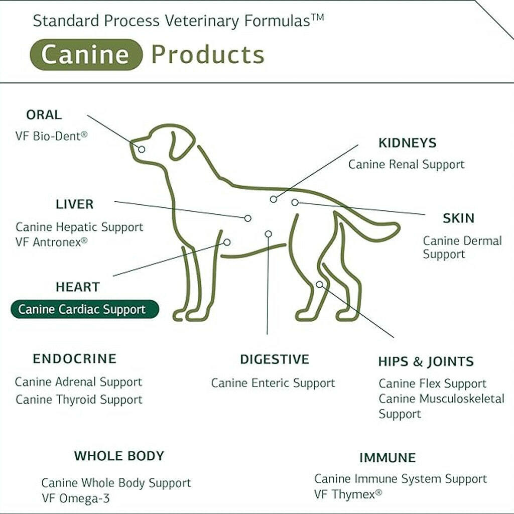 Standard Process Canine Cardiac Support- Heart Supplement for Dogs