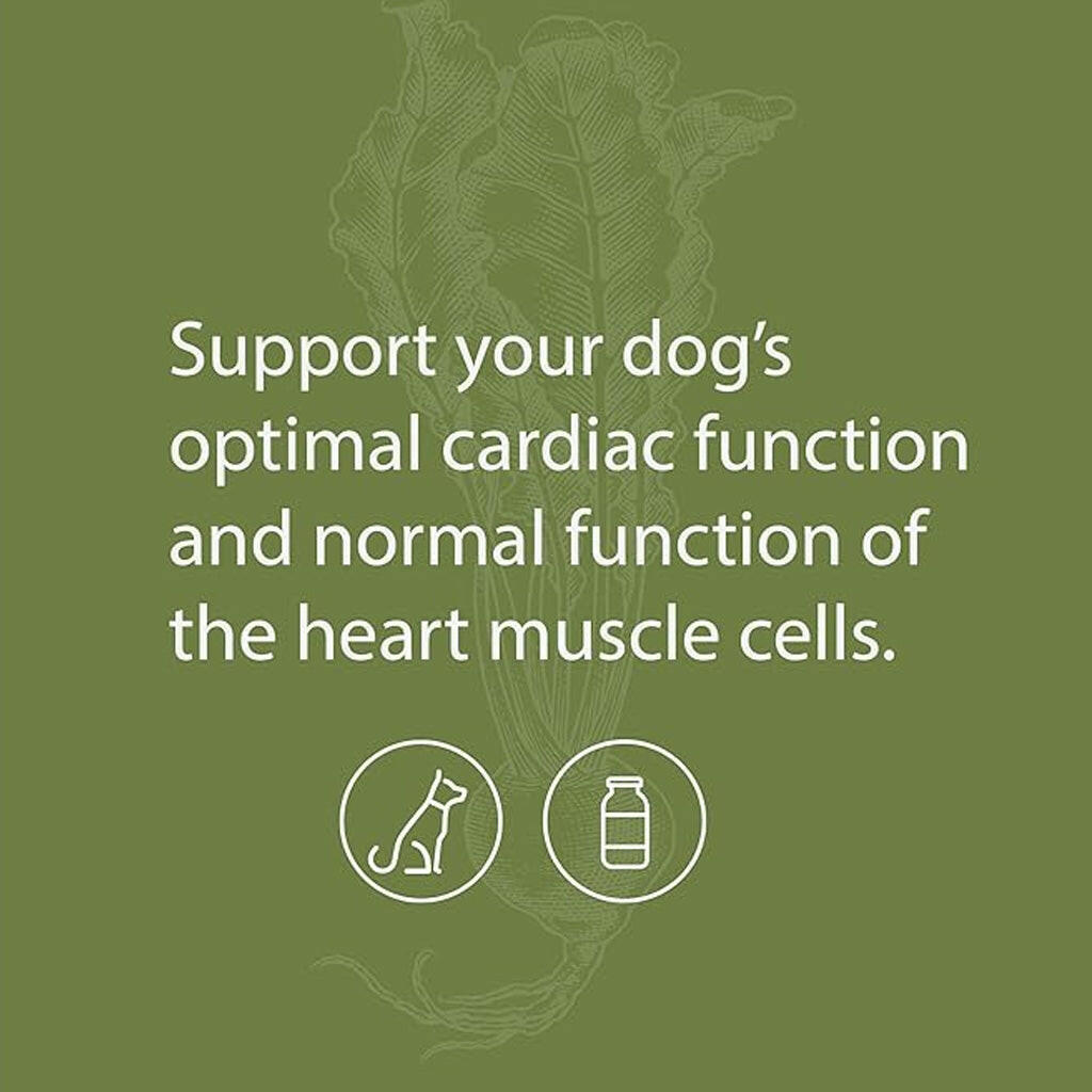 Standard Process Canine Cardiac Support- Heart Supplement for Dogs