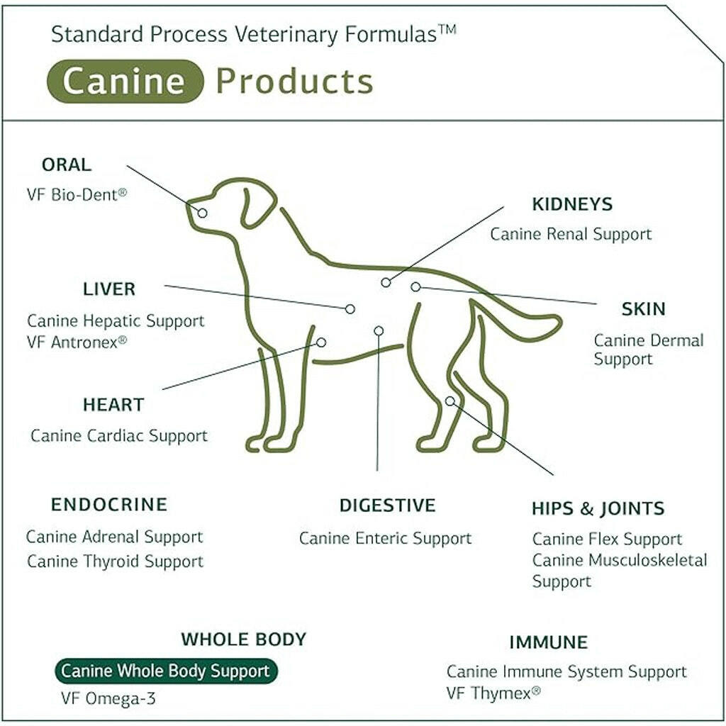 Standard Process Canine Whole Body Support