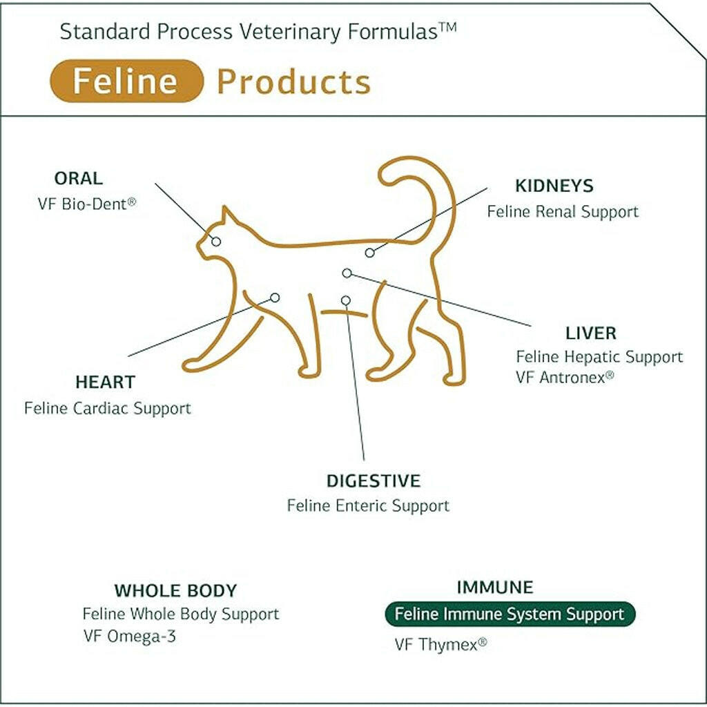 Standard Process Feline Immune System Support (90 tablets)