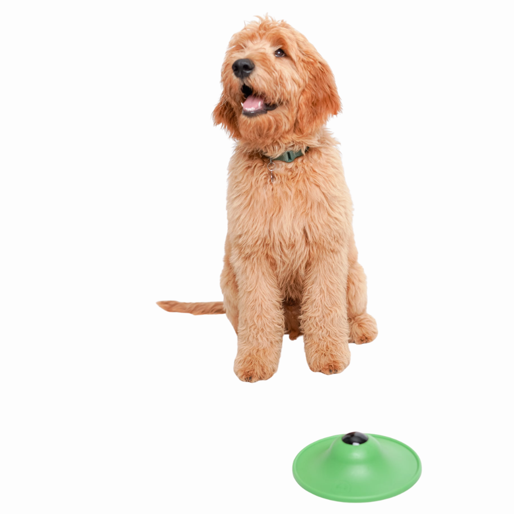 Stashios Soothing Saucer Enrichment for Dogs