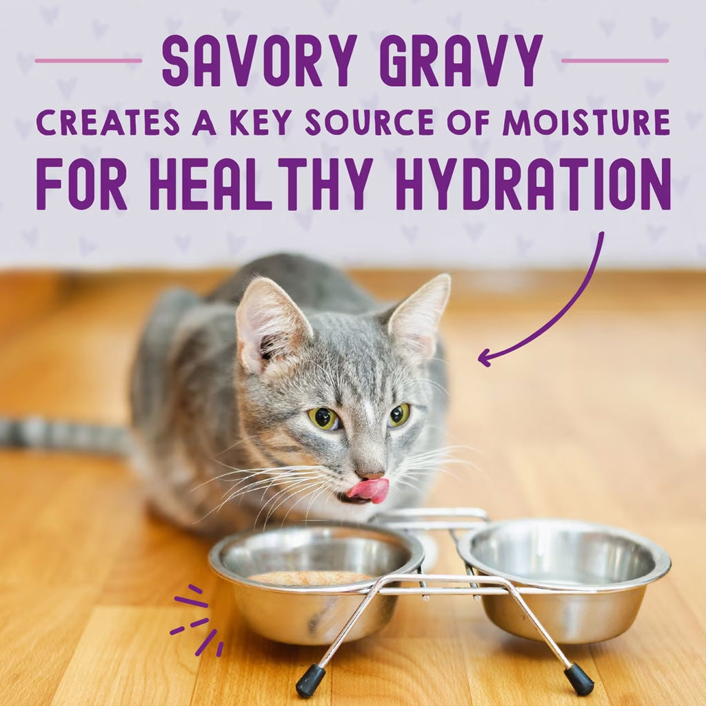 Stella & Chewy's Carnivore Cravings Morsels'N'Gravy Cat Food, 2.8-oz case of 24