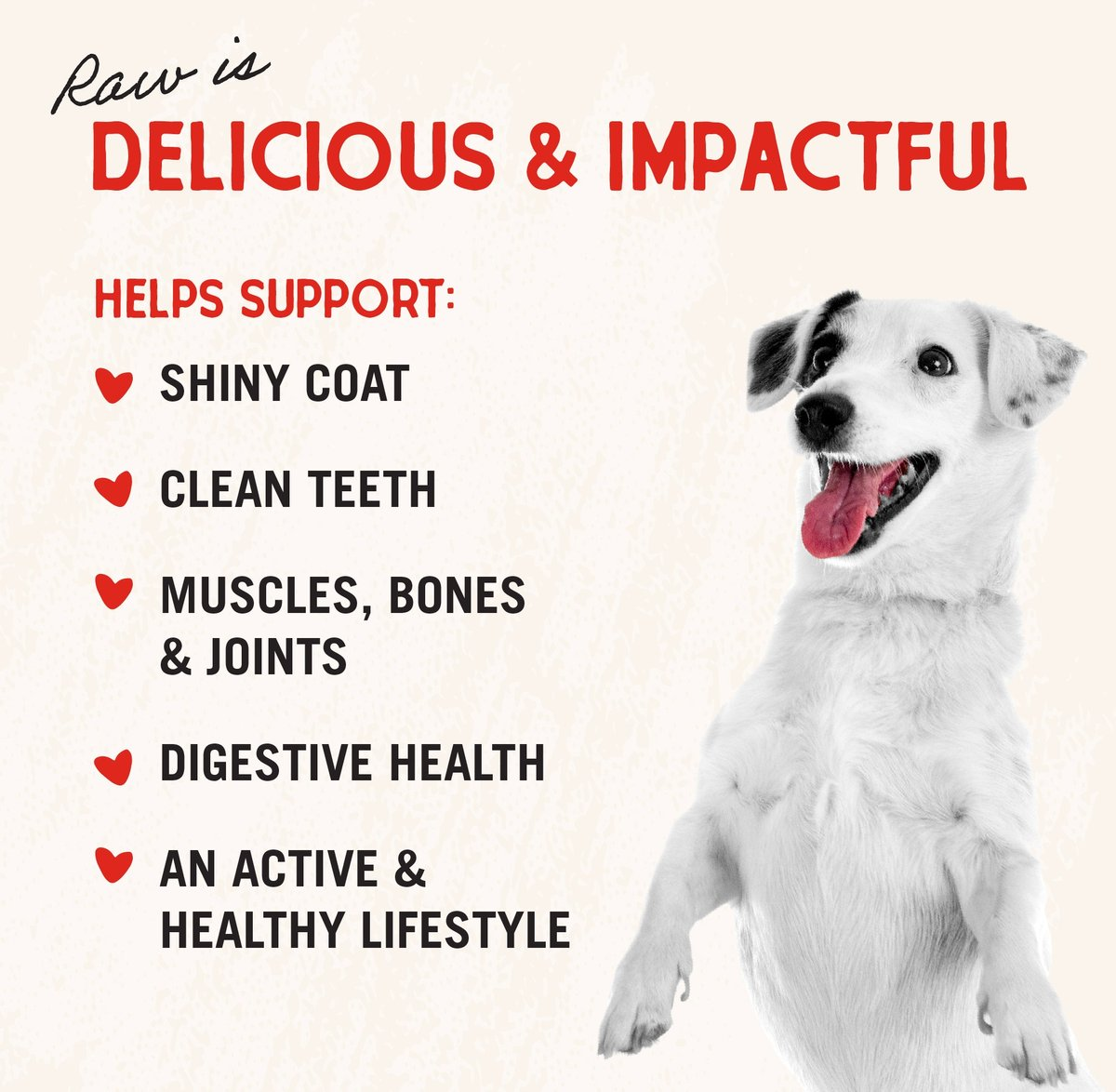 Stella & Chewy's Venison Blend Dinner Patties Freeze-Dried Raw Food for Dogs
