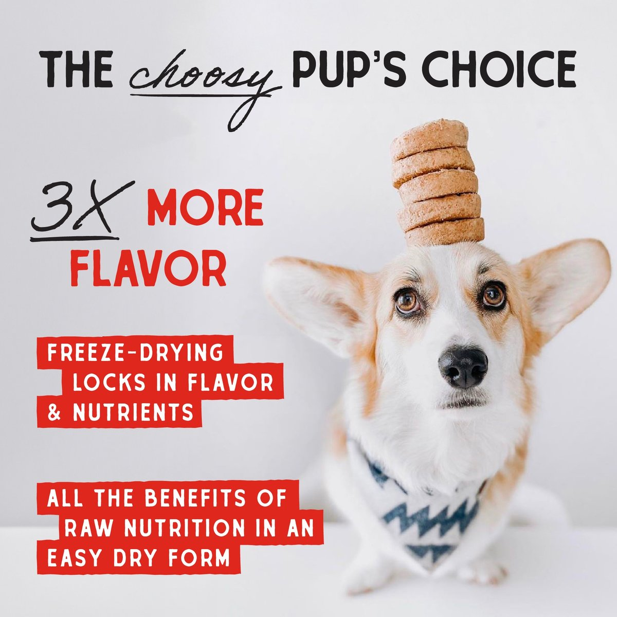 Stella & Chewy's Venison Blend Dinner Patties Freeze-Dried Raw Food for Dogs