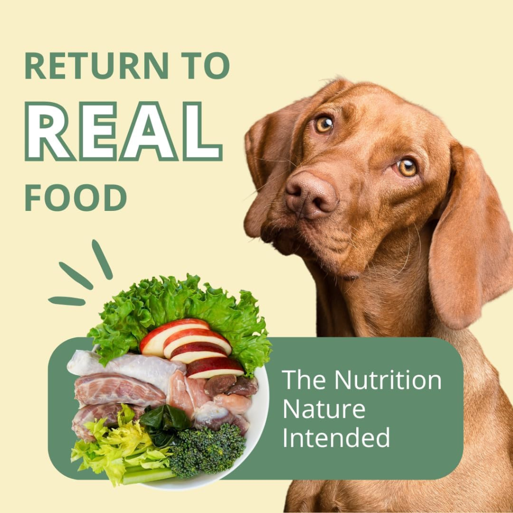 Steve's Real Food Turducken Recipe Freeze-Dried Pet Food for Cats & Dogs (1.25 lb)