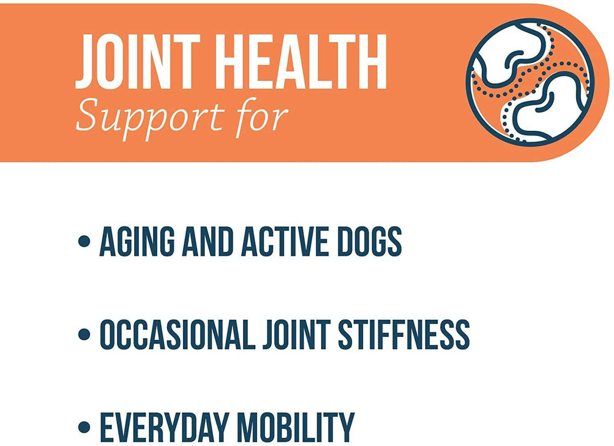 Synovi G4 Soft Chews Joint Supplement for Dogs