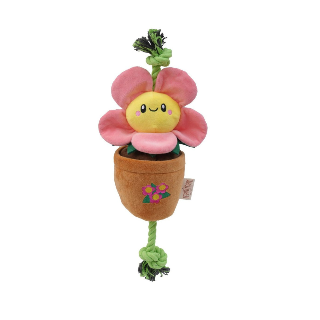 Territory Treat-and-Tug Dog Toy