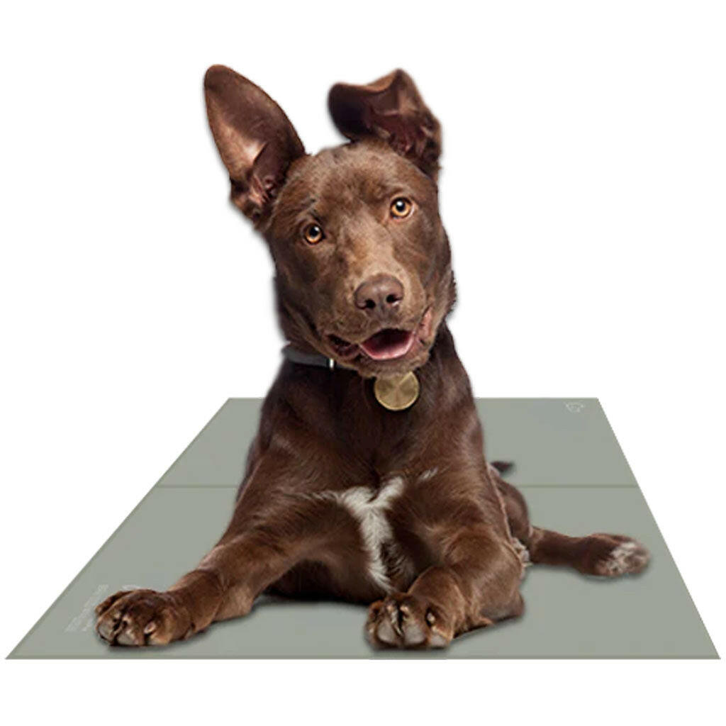 The Green Pet Shop Chilz Gel Mat