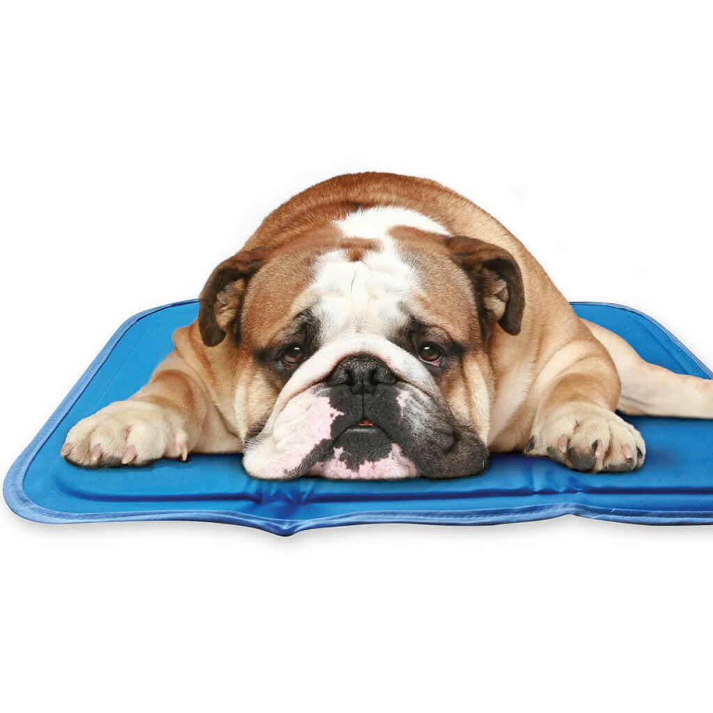 The Green Pet Shop Cool Pet Pad