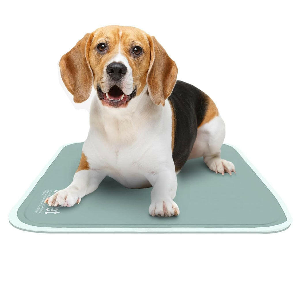 The Green Pet Shop Cool Pet Pad