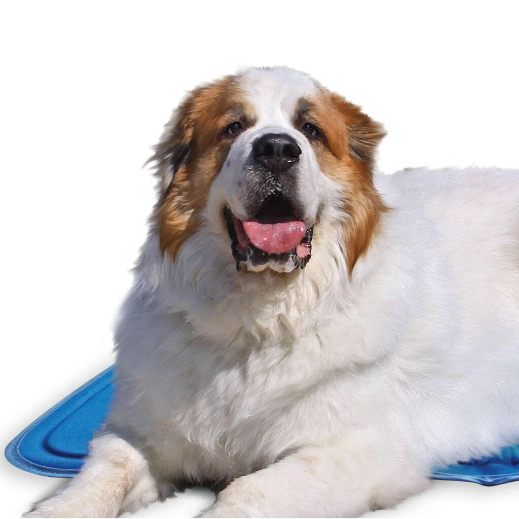 The Green Pet Shop Cool Pet Pad