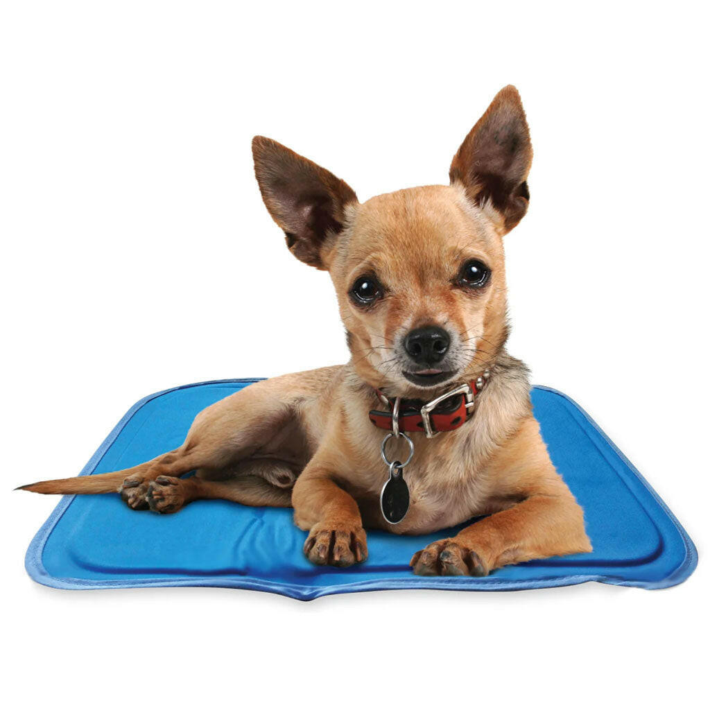 The Green Pet Shop Cool Pet Pad