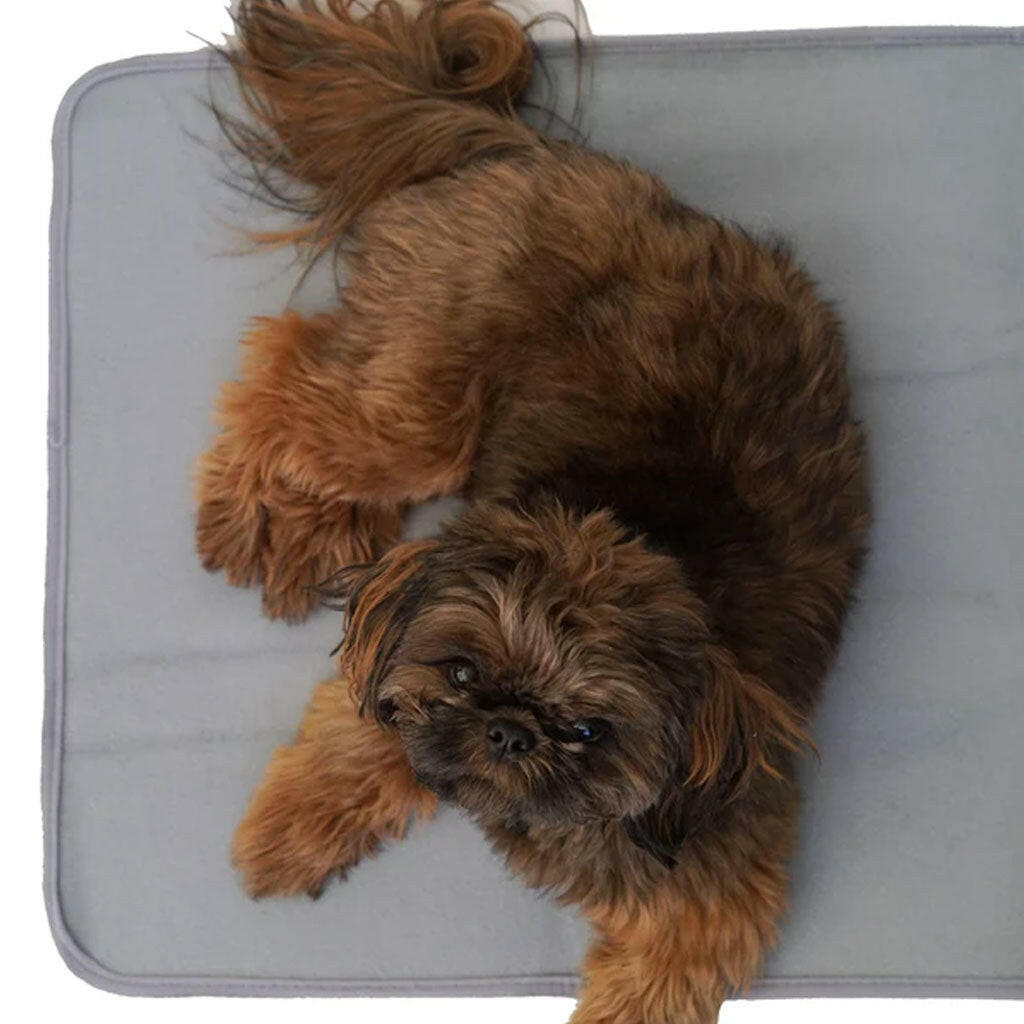The Green Pet Shop Thera-Pawz Warming Pad, Gray