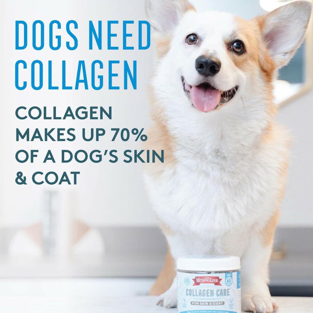 The Missing Link Collagen Care Skin & Coat Soft Chews For Dogs (60 count)