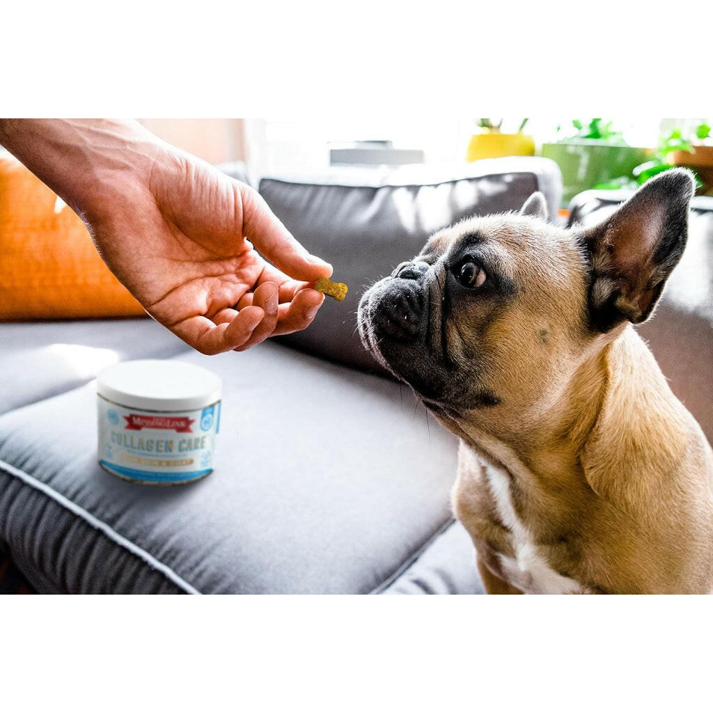 The Missing Link Collagen Care Skin & Coat Soft Chews For Dogs (60 count)