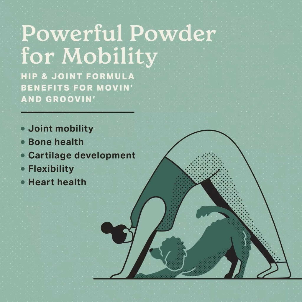 The Missing Link Hip & Joint Supplement Powder For Dogs