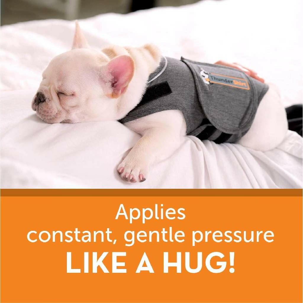 ThunderShirt Anxiety Solution for Small Dogs 15-25 lbs (Gray)