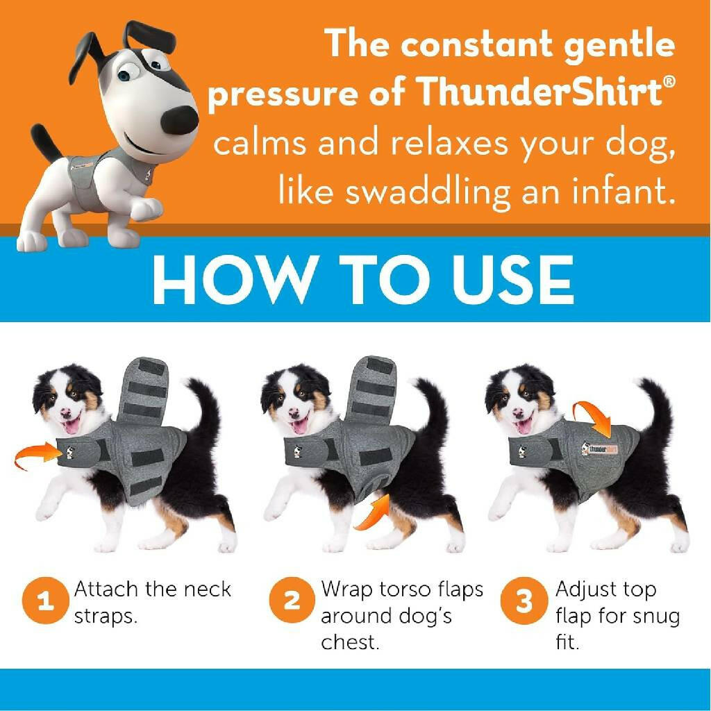 ThunderShirt Anxiety Solution for Small Dogs 15-25 lbs (Gray)