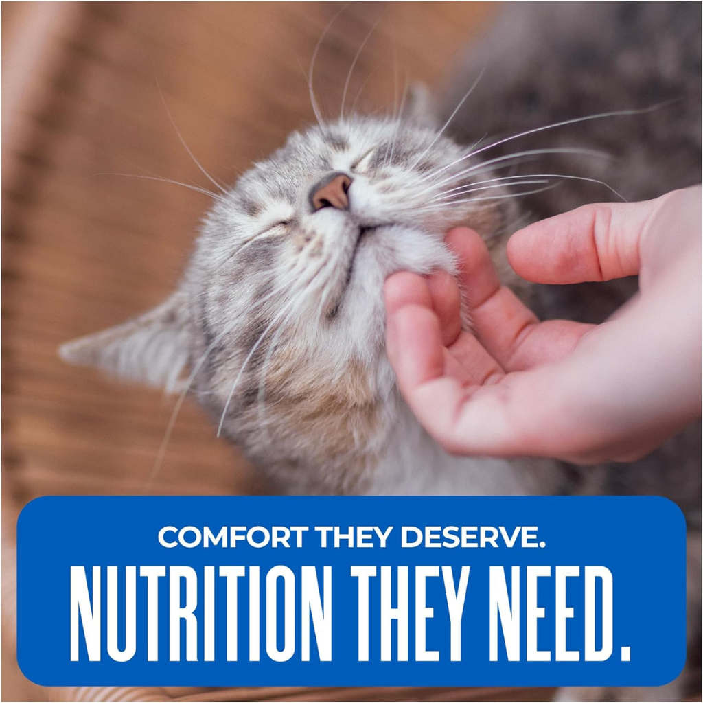 Tiki Cat Silver Comfort Chicken, Chicken Liver & Pumpkin Recipe in Broth Low Phosphorus Puree for Cats Age 11+ (6 oz x 6 pouches)