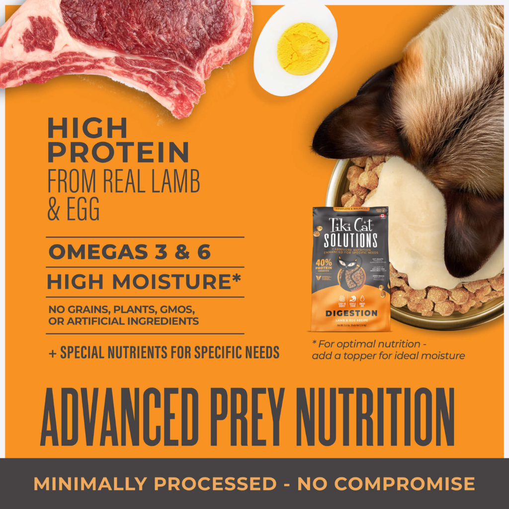 Tiki Cat Solutions Digestion Grain Free Lamb & Egg Dry Cat Food