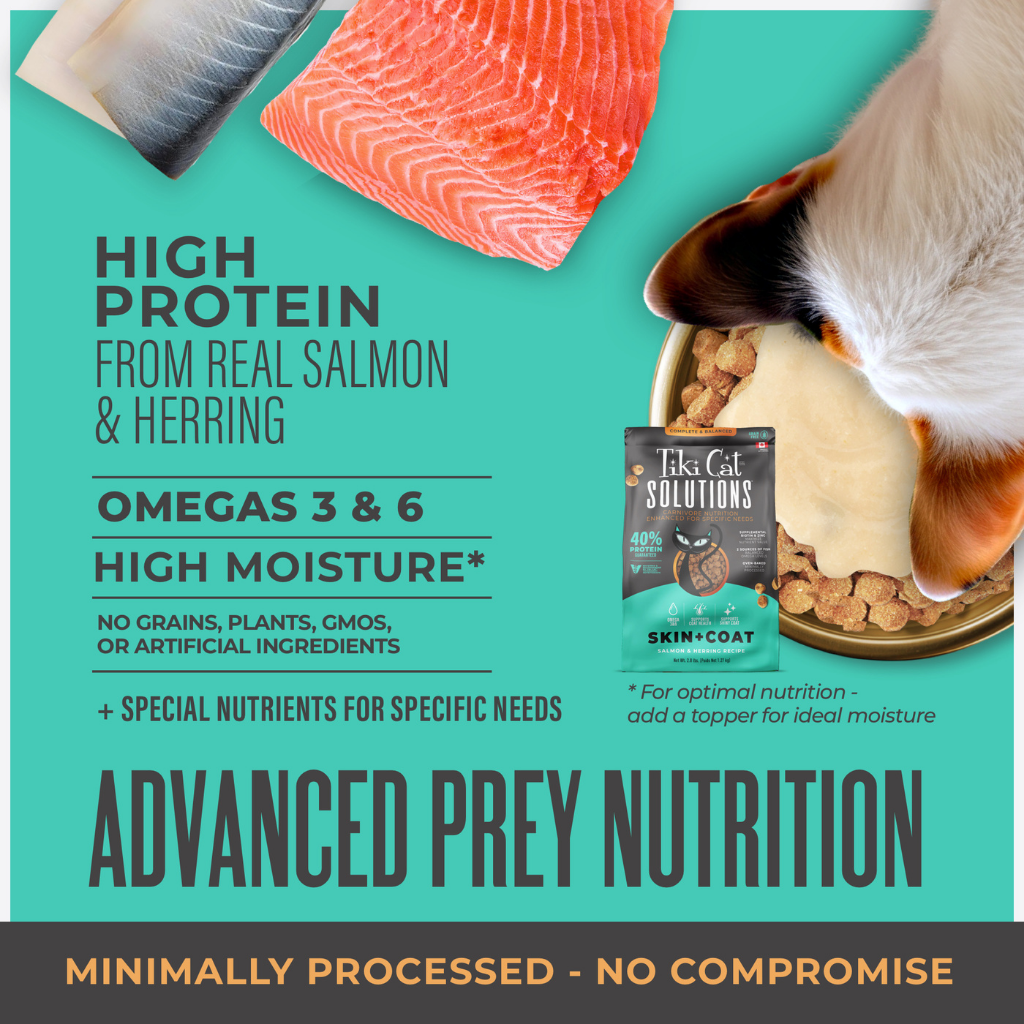 Tiki Cat Solutions Skin & Coat Grain Free Salmon & Herring Recipe Dry Cat Food
