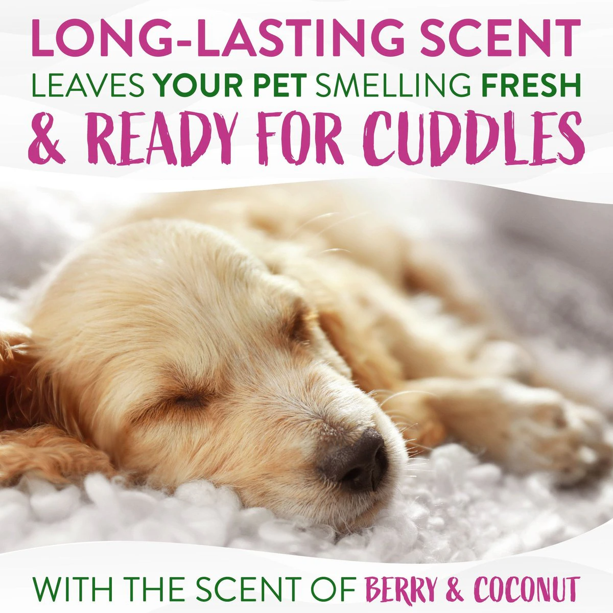 Tropiclean Deep Cleaning Berry & Coconut Deodorizing Pet Wipes (100 ct)