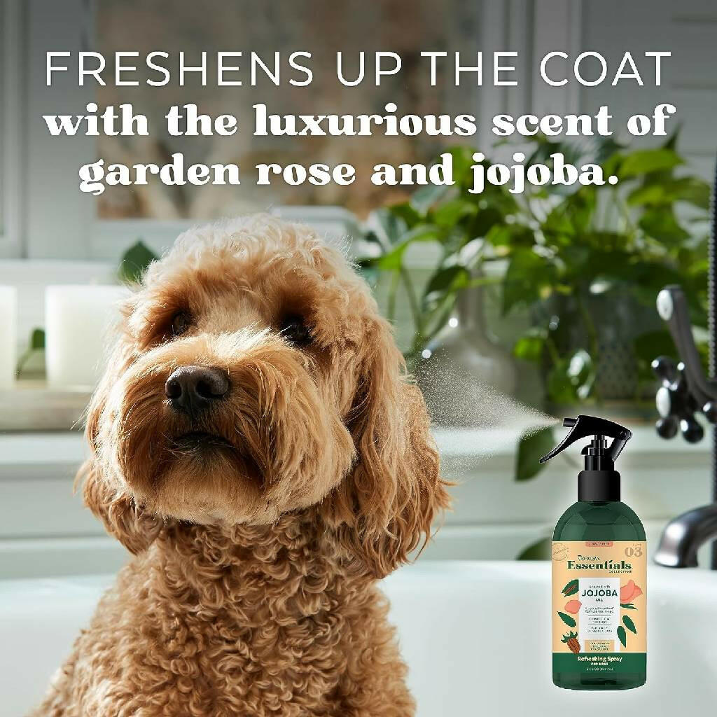 TropiClean Essentials Jojoba Oil Control Shampoo for Dogs (16 oz)