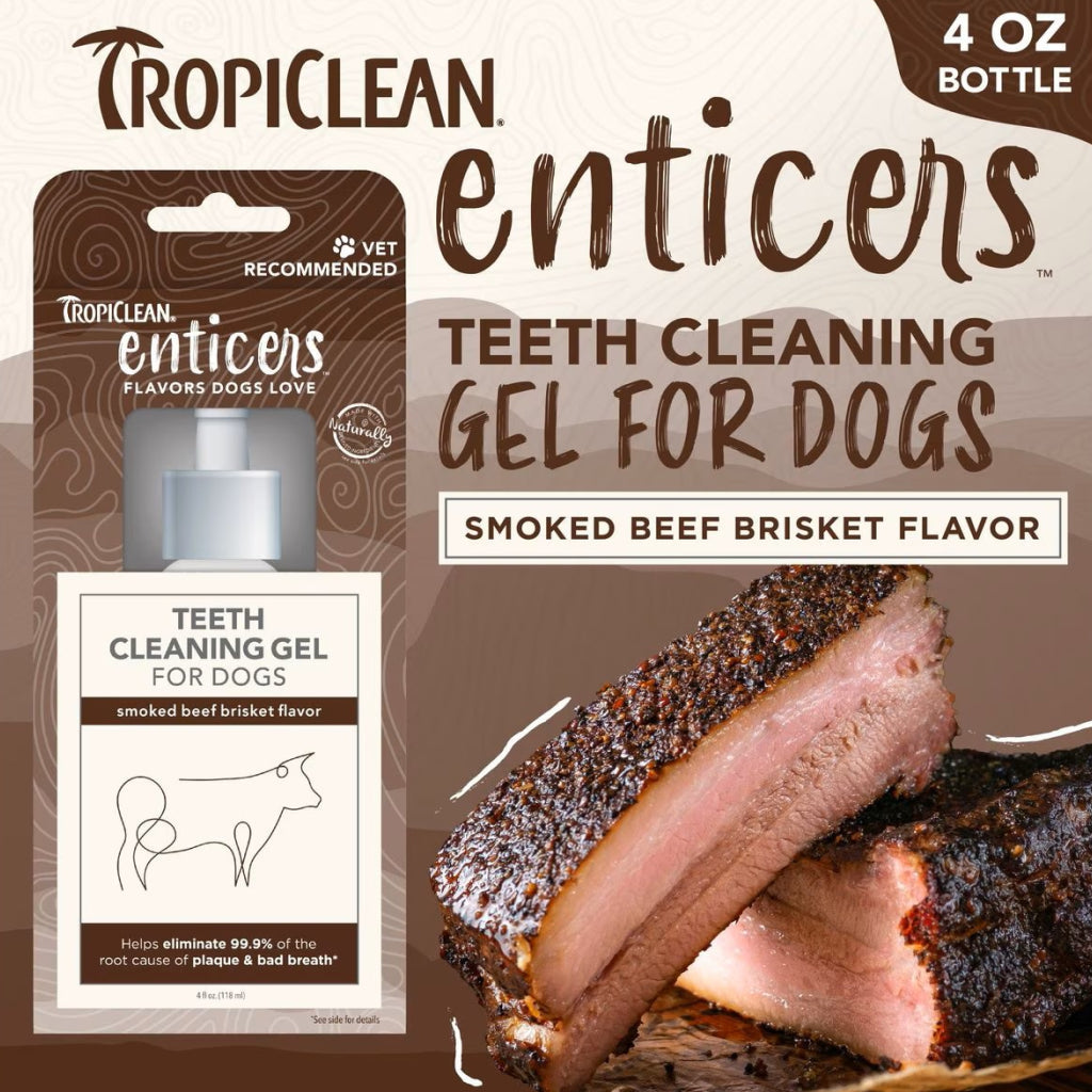 TropiClean Fresh Breath Enticers Smoked Beef Brisket Oral Care Kit for Dogs, 2oz
