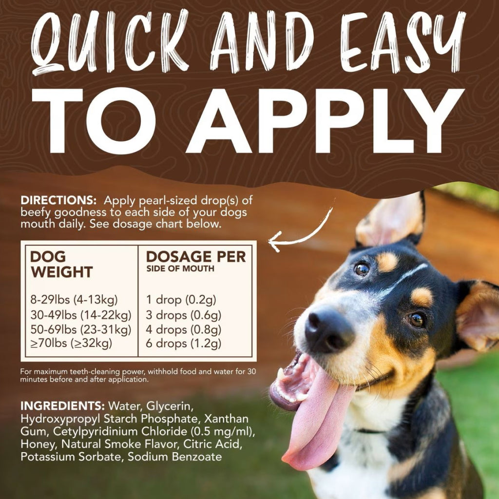 TropiClean Fresh Breath Enticers Smoked Beef Brisket Oral Care Kit for Dogs, 2oz
