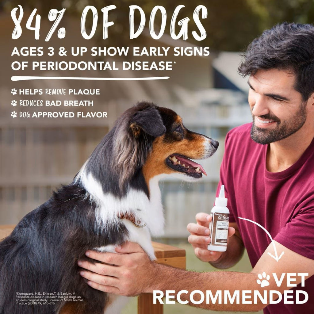 TropiClean Fresh Breath Enticers Smoked Beef Brisket Oral Care Kit for Dogs, 2oz