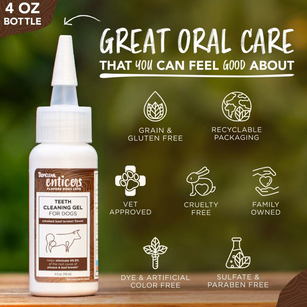 TropiClean Fresh Breath Enticers Smoked Beef Brisket Oral Care Kit for Dogs, 2oz