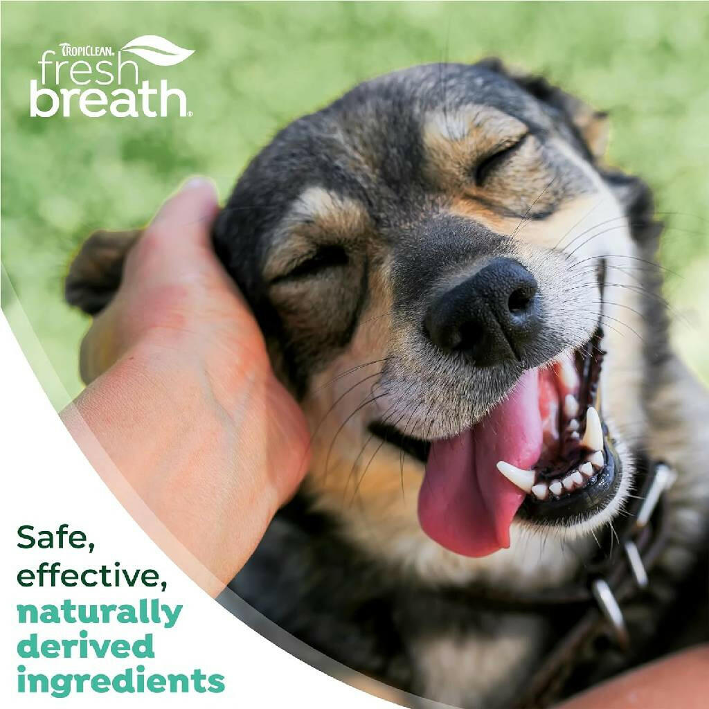 TropiClean Fresh Breath Oral Care Kit for Small & Medium Dogs