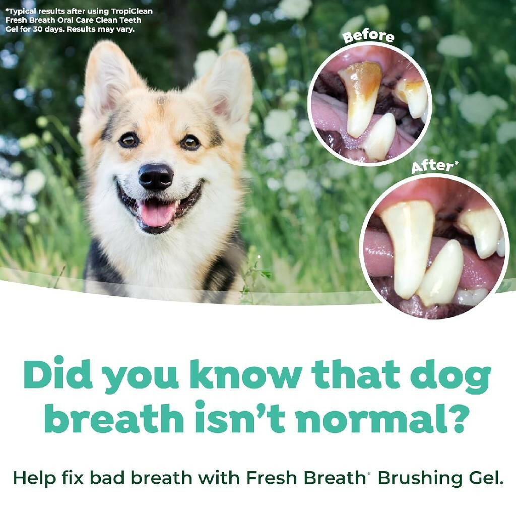 TropiClean Fresh Breath Oral Care Kit for Small & Medium Dogs